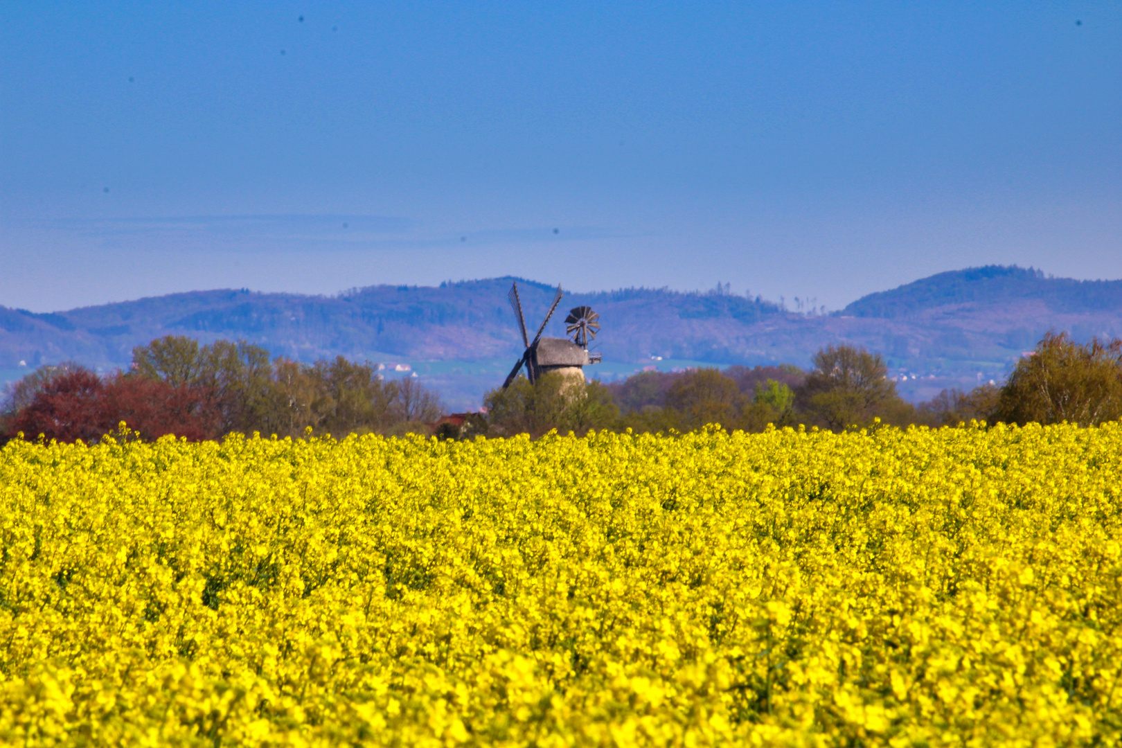 Frühling