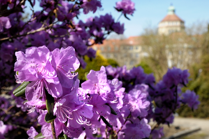 Frühling