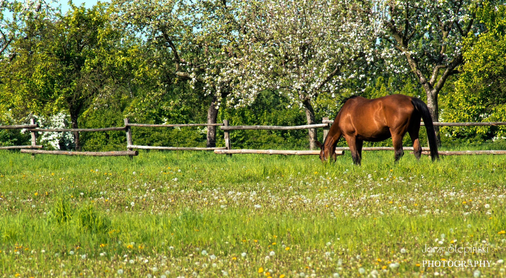 Frühling