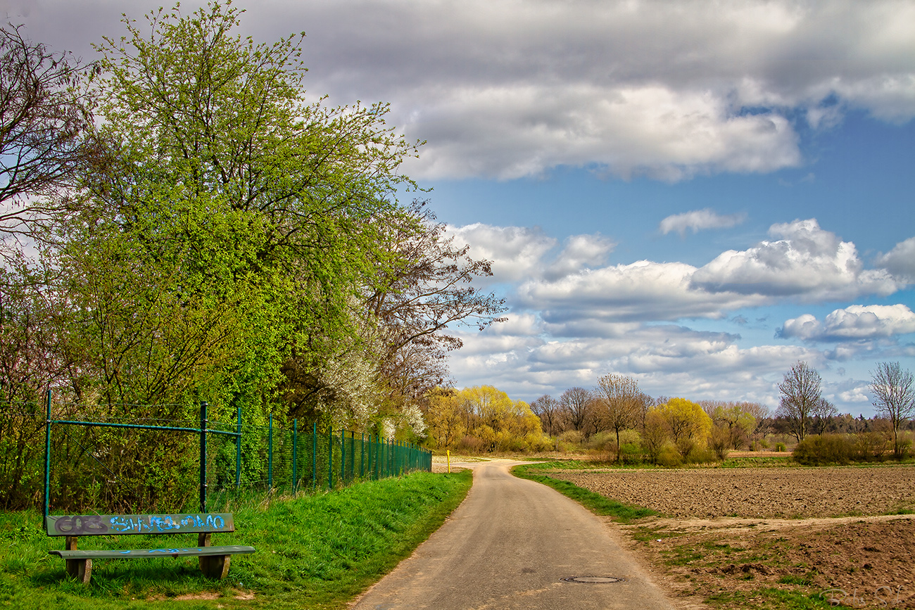 Frühling...