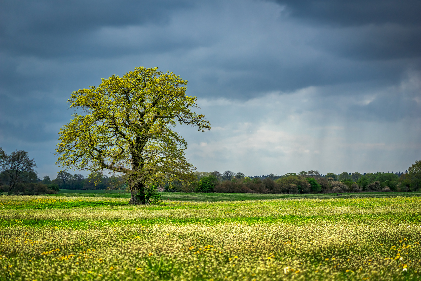 Frühling