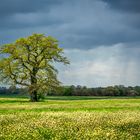 Frühling