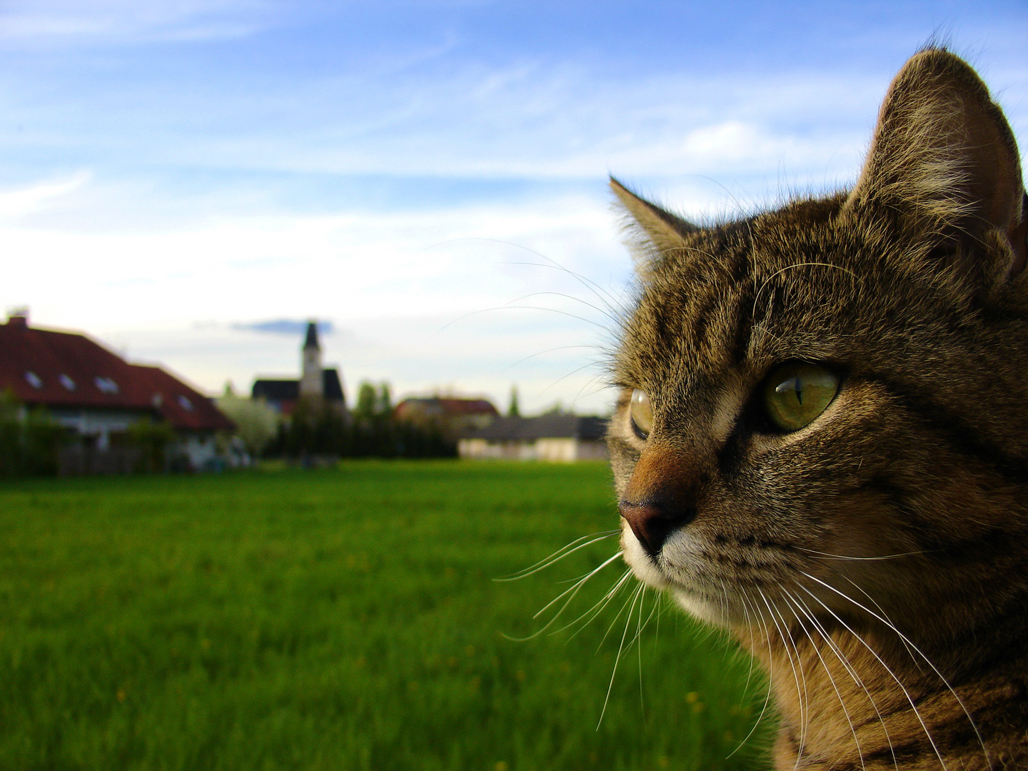 Frühling - Die Jagdsaison beginnt