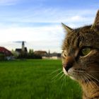 Frühling - Die Jagdsaison beginnt