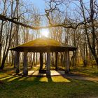 Frühling - die Natur erstrahlt in frischen Farben