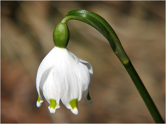 Frühling draussen...
