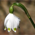 Frühling draussen...