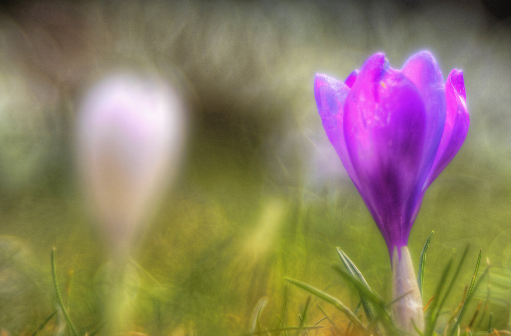 Frühling durch´s Altglas