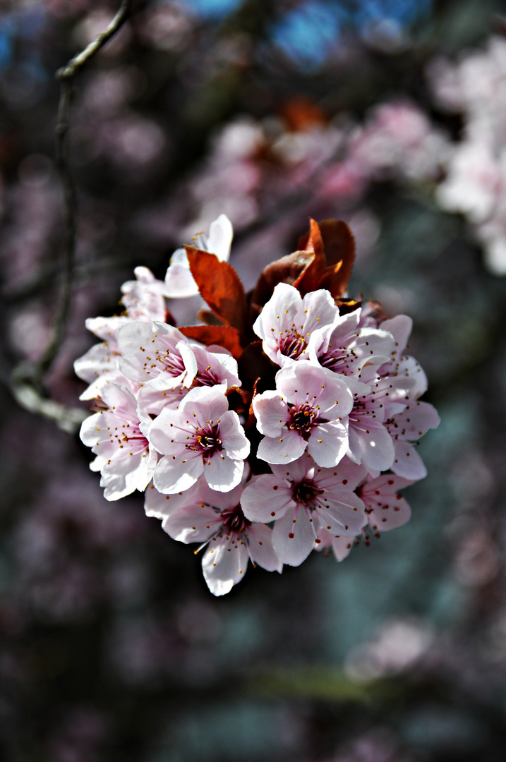 Frühling.