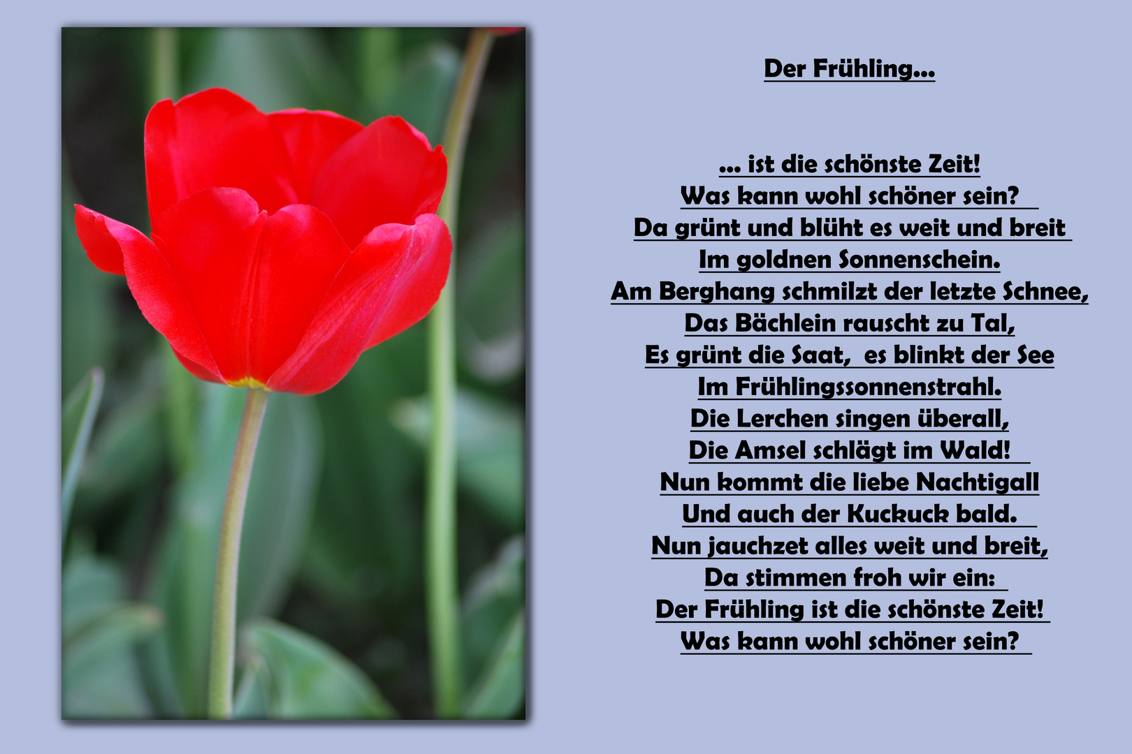 Frühling....