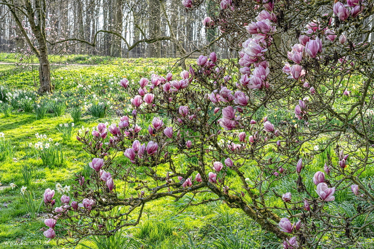 Frühling