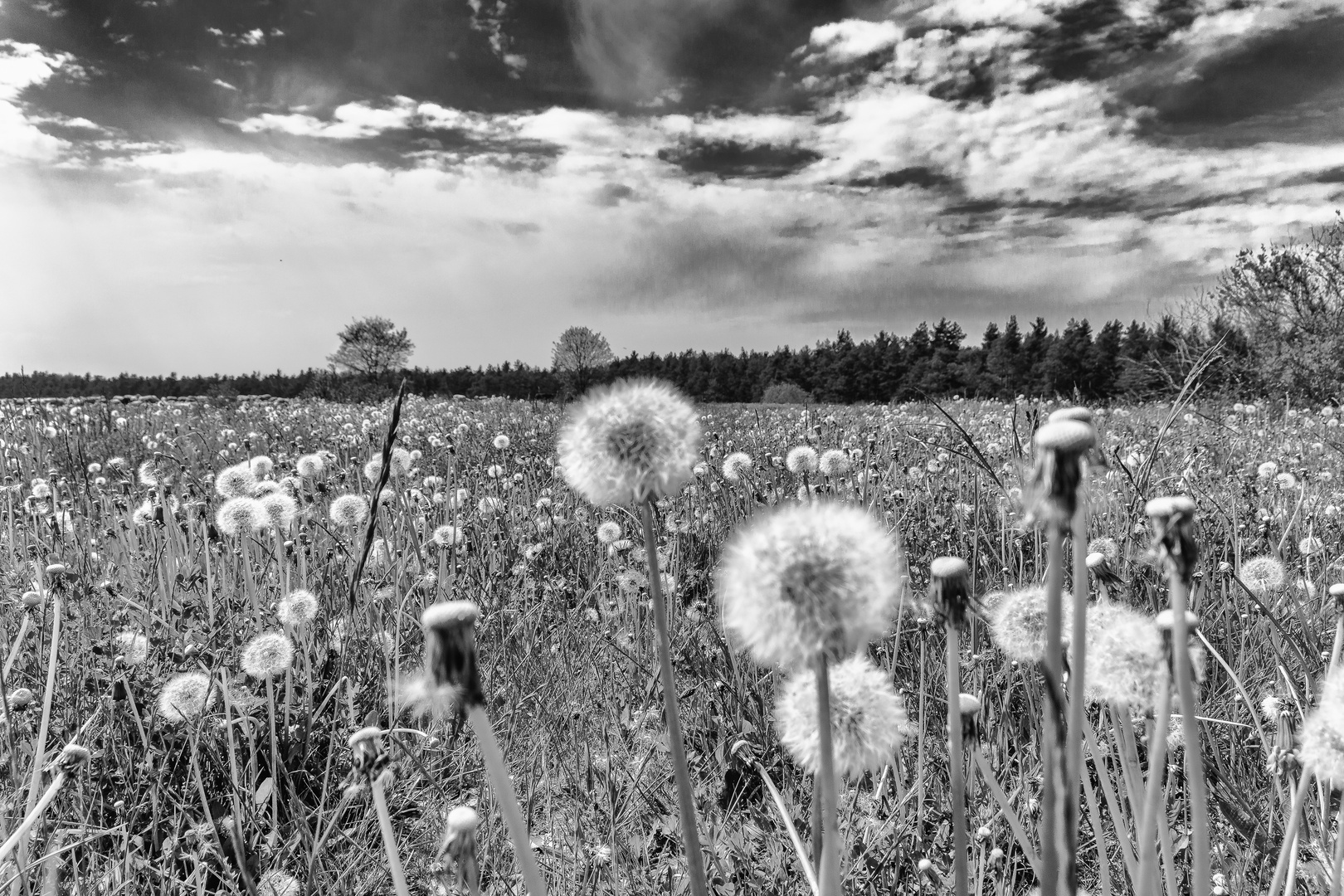 Frühling