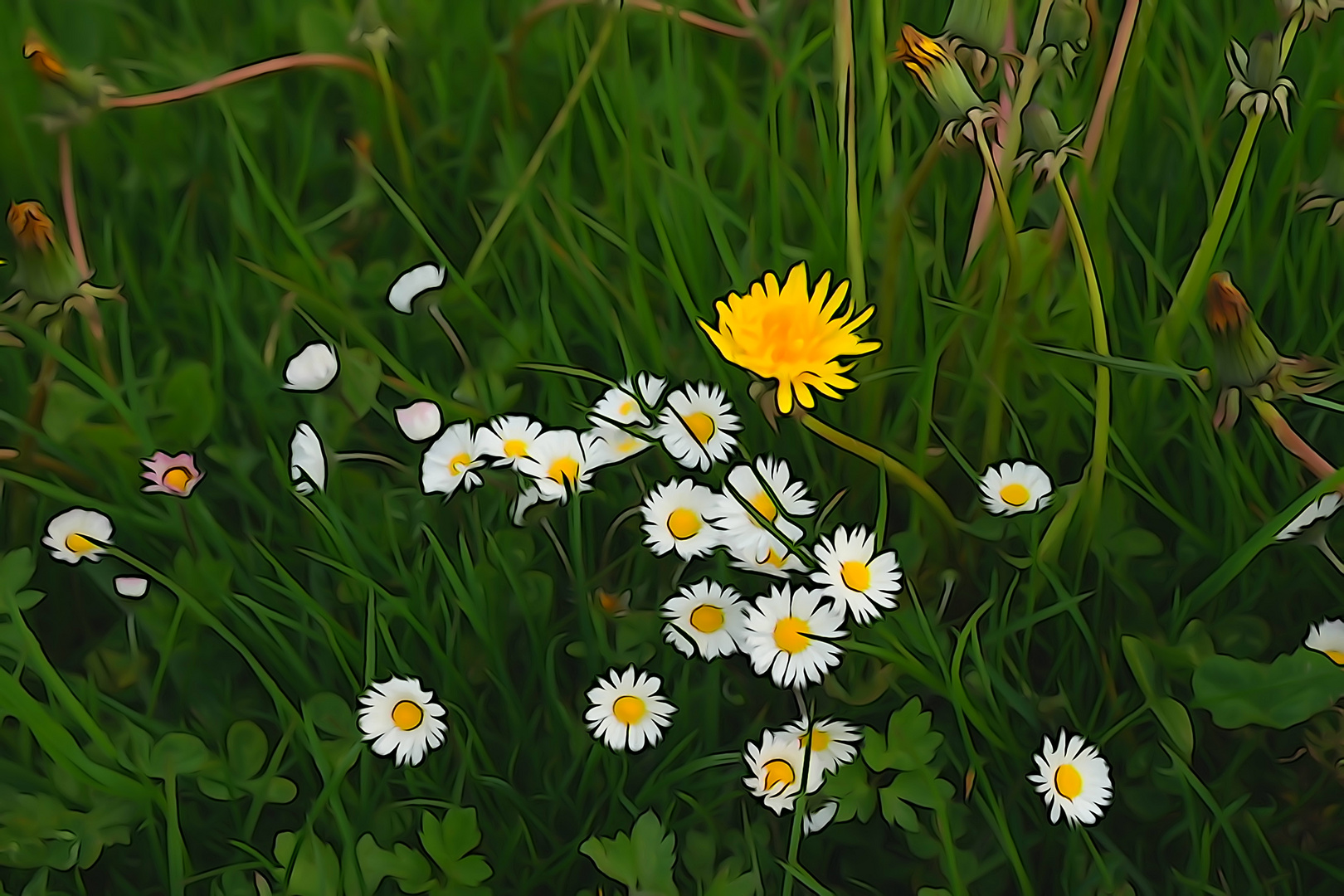 Frühling