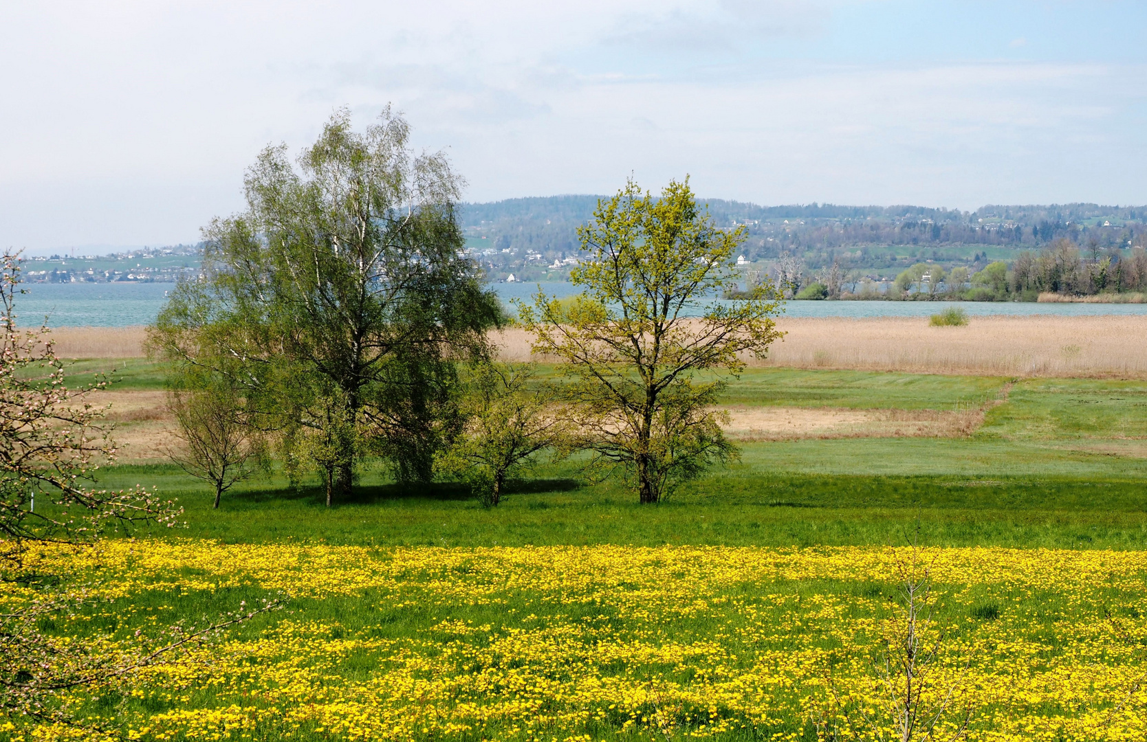 Frühling