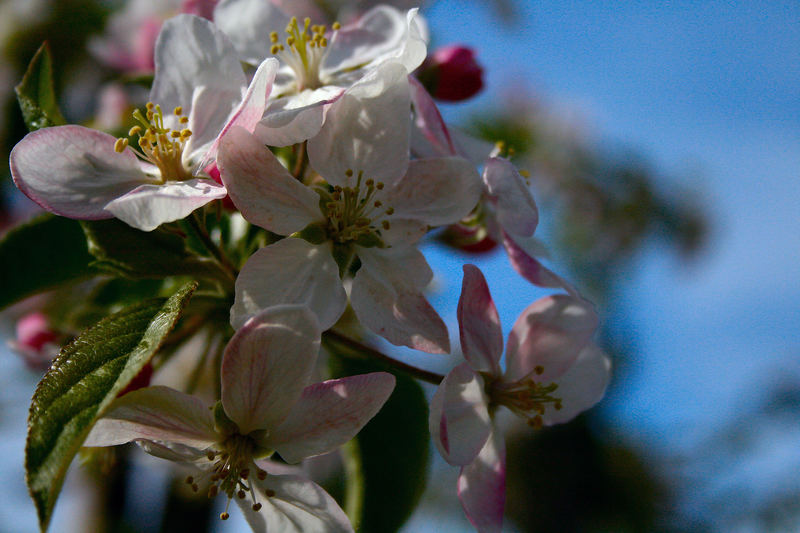 Frühling...