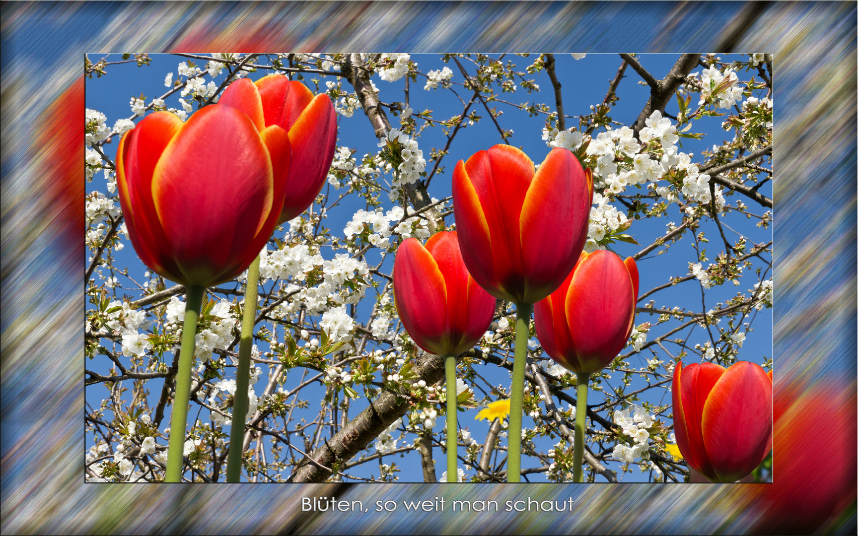 Frühling