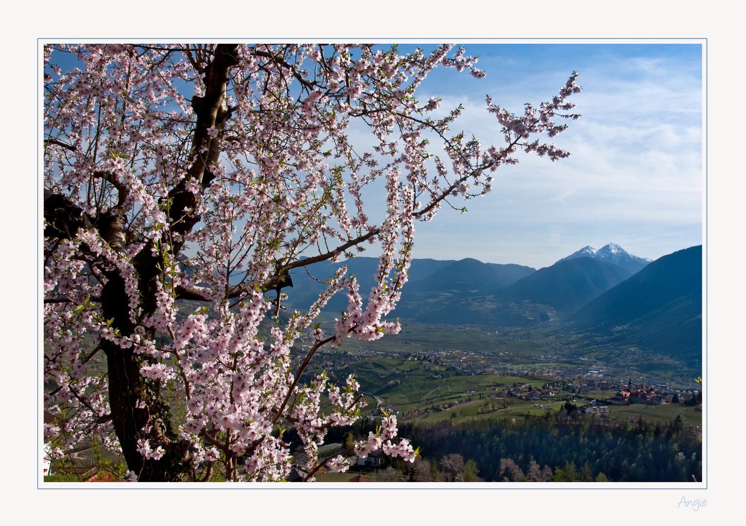 Frühling...........