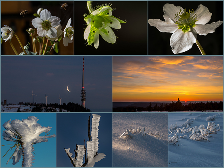 Frühling...