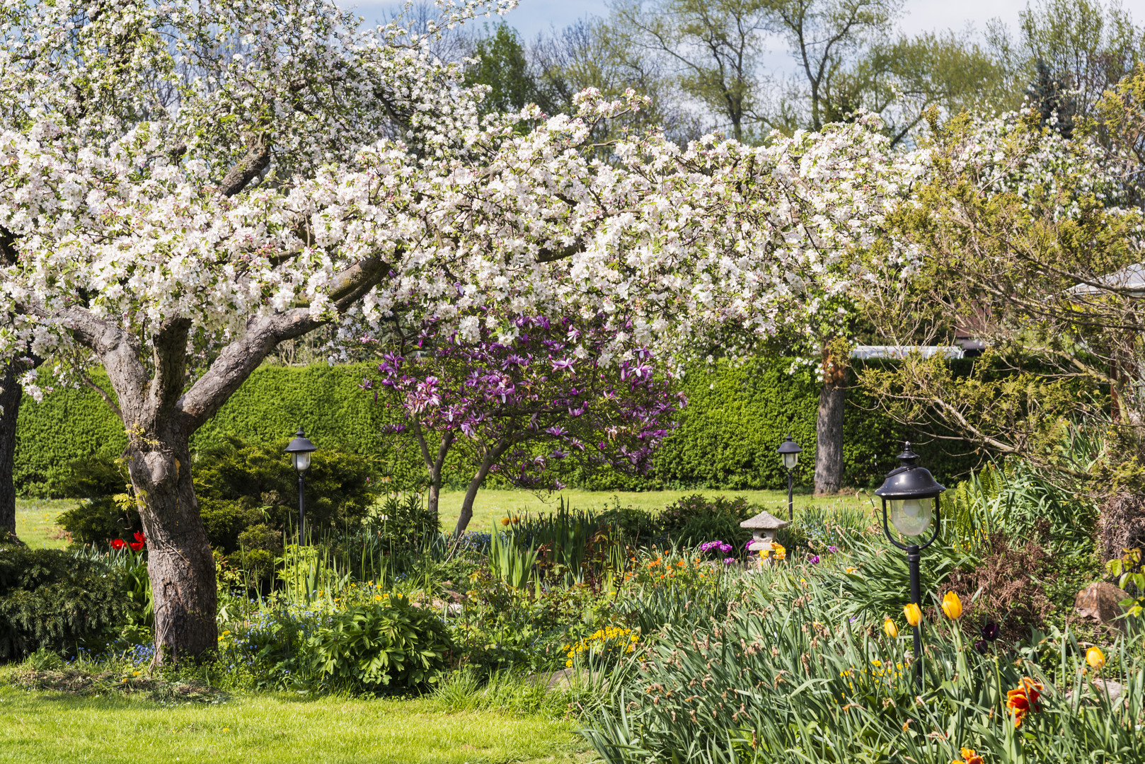 Frühling