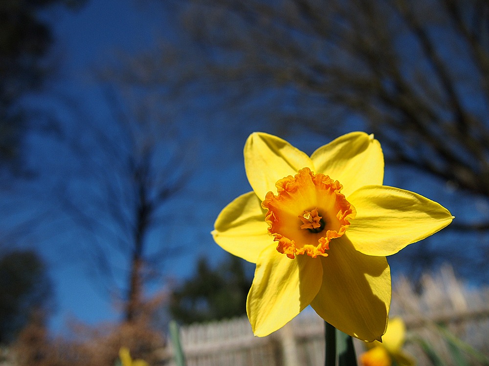 Frühling