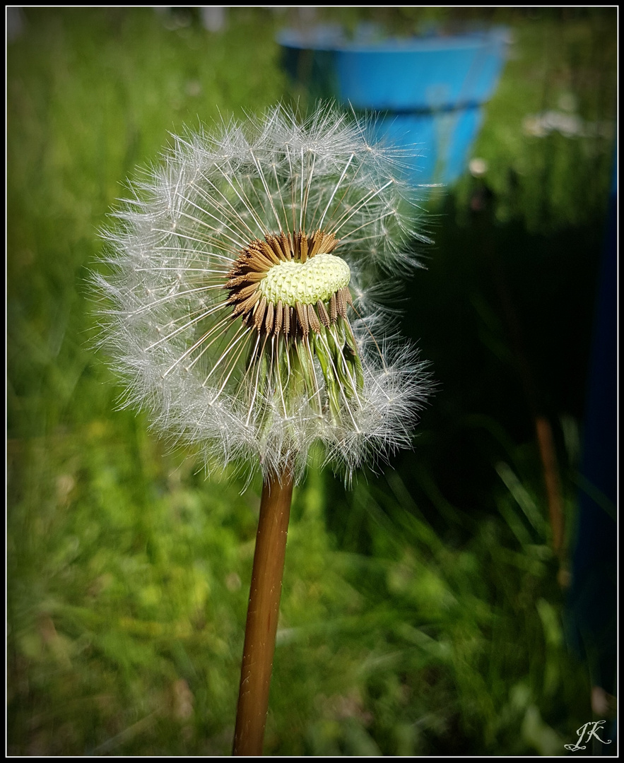 Frühling..................