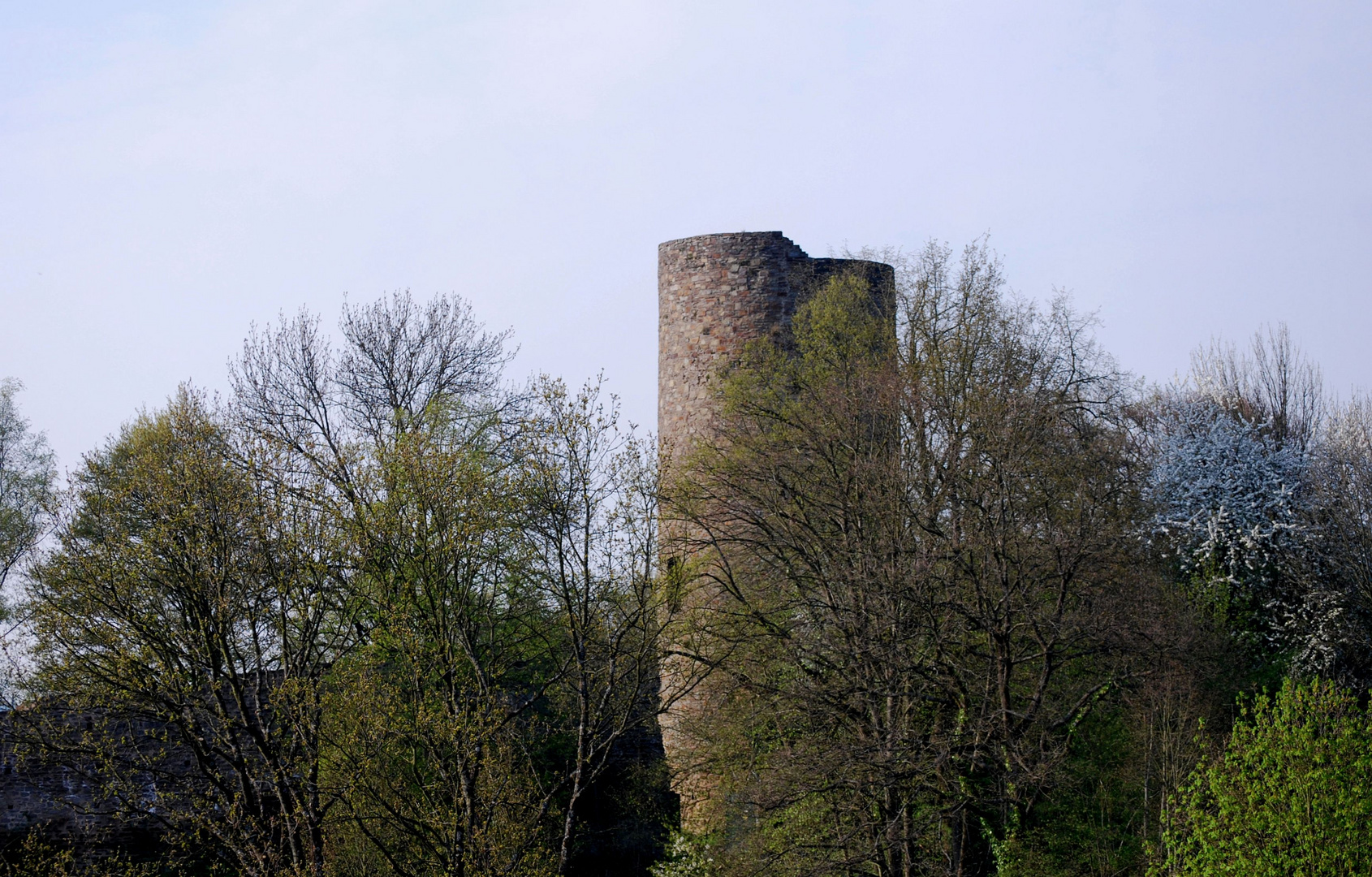 Frühling