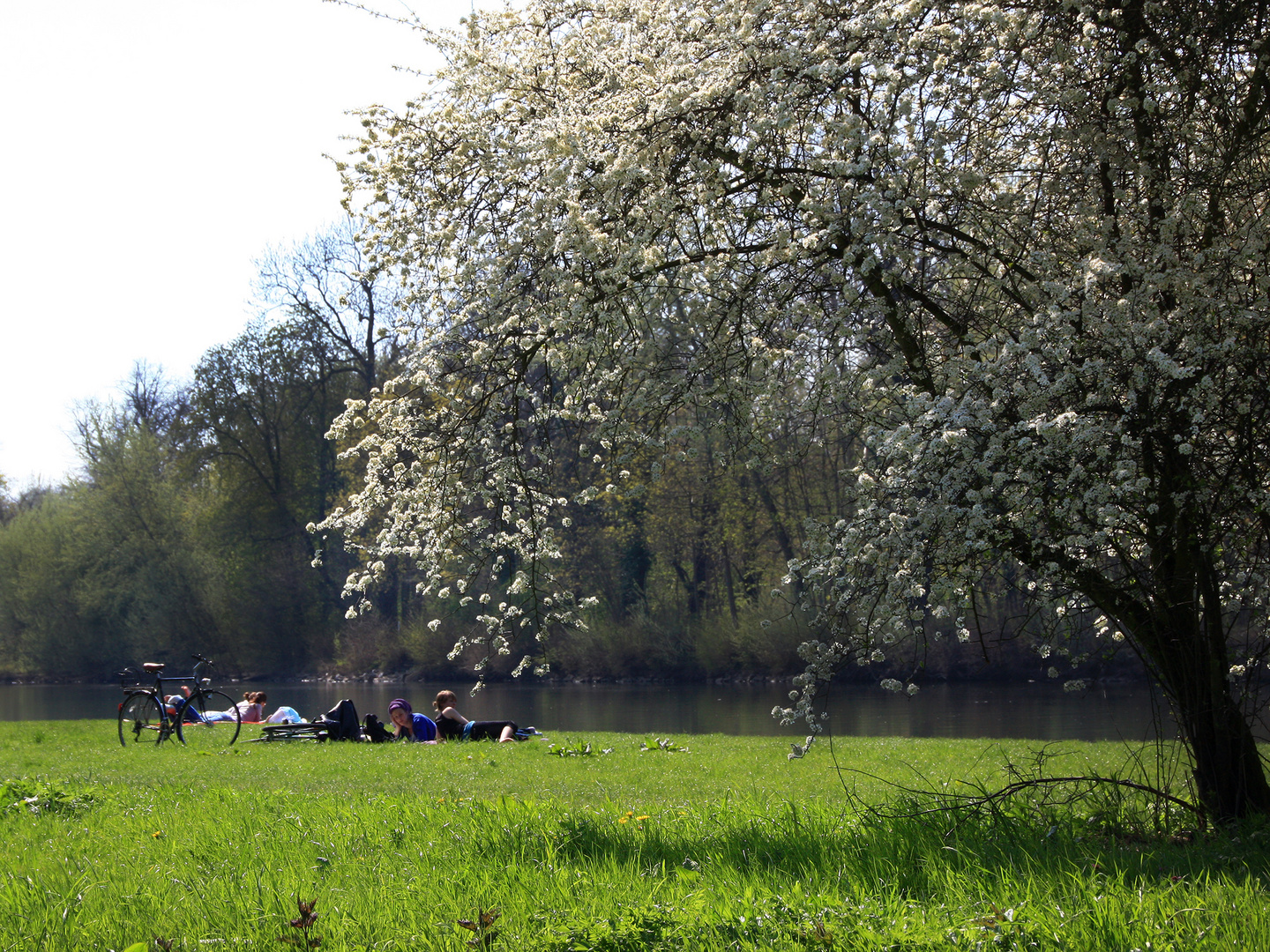 Frühling