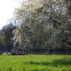 Frühling