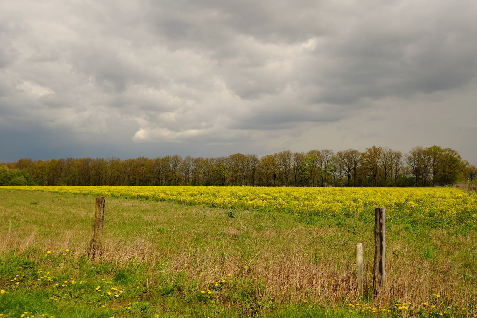 Frühling