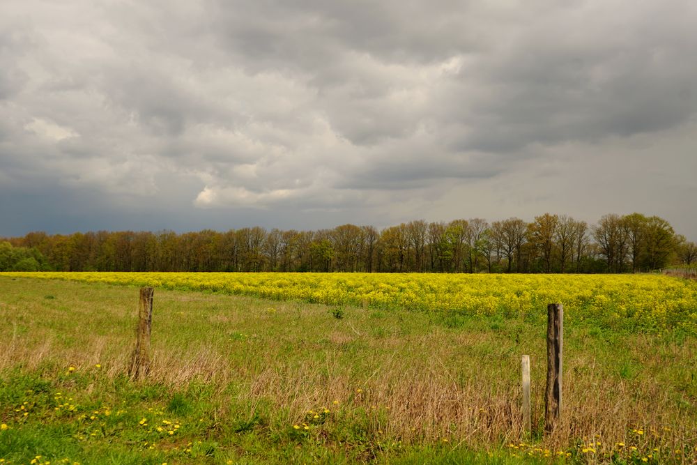 Frühling