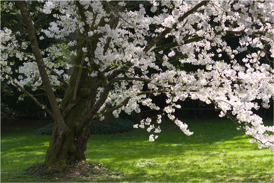 Frühling