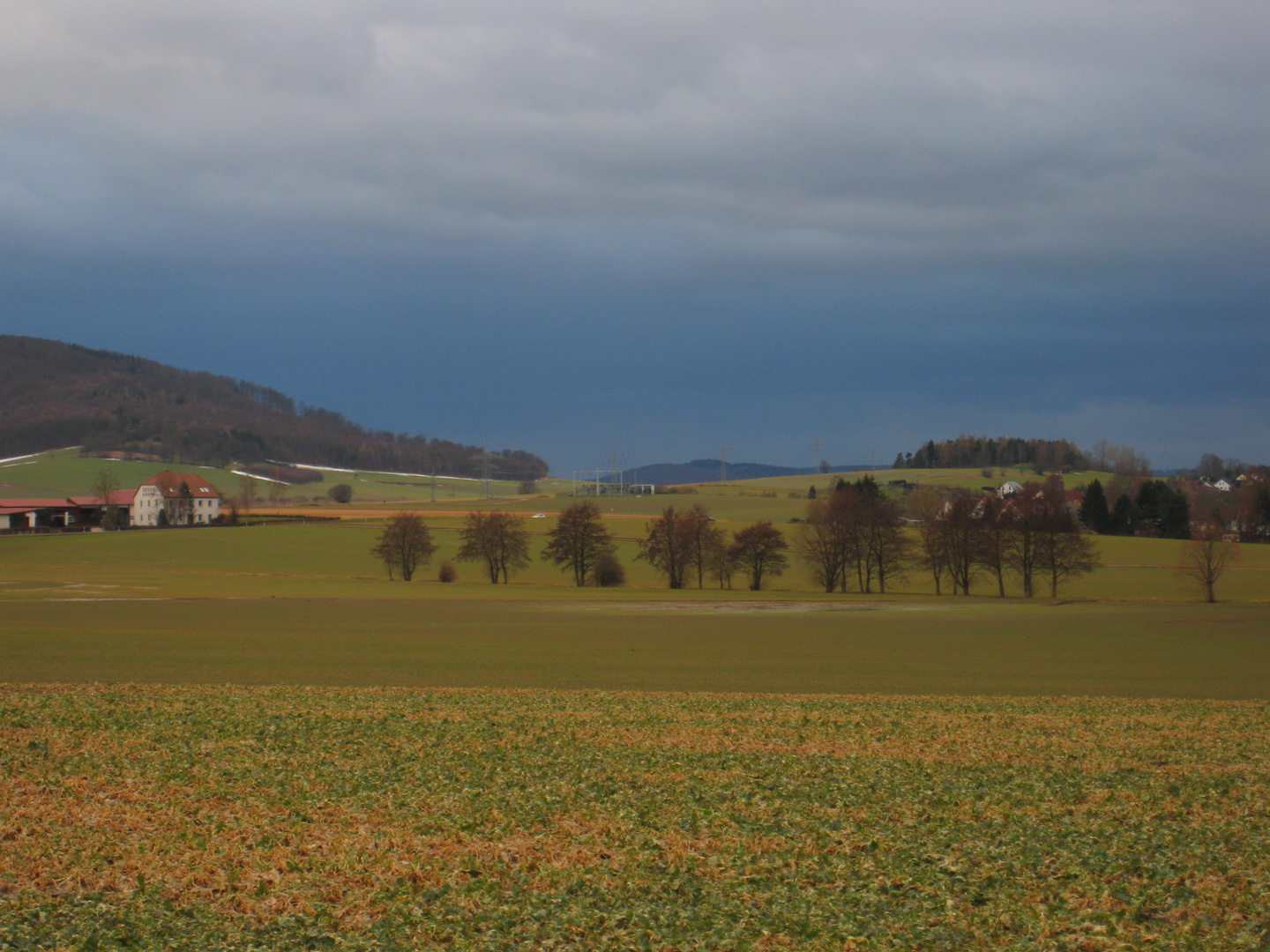 Frühling ?