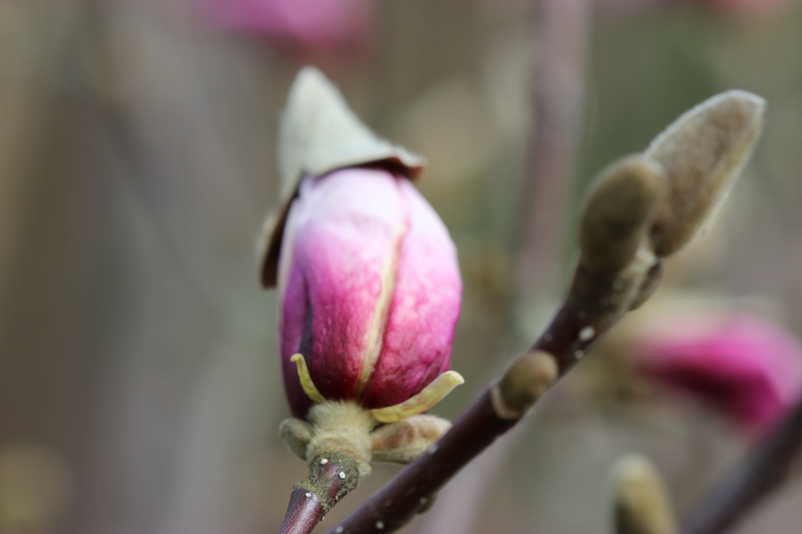 Frühling