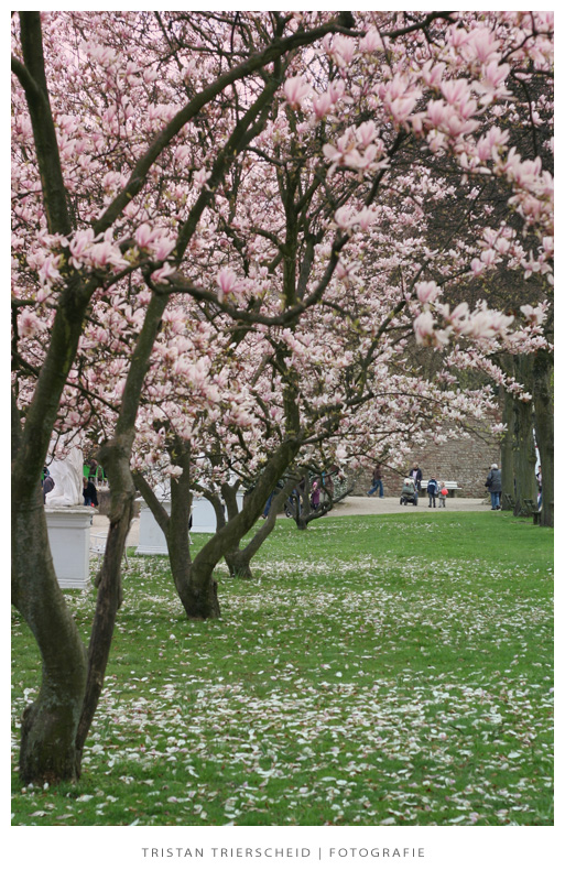 Frühling