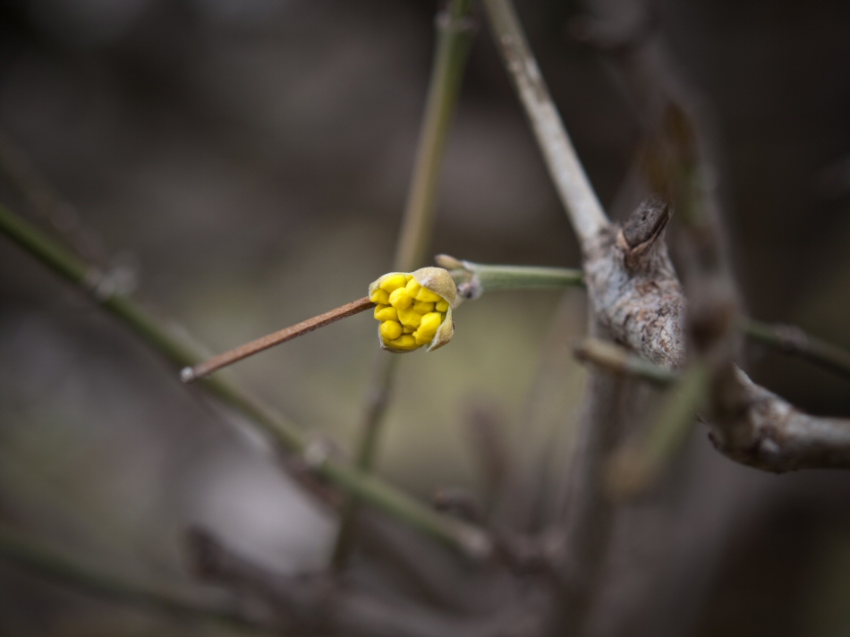 Frühling?