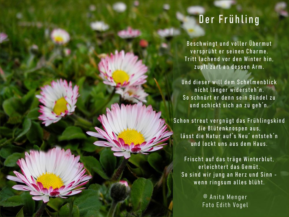 FRÜHLING