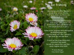 FRÜHLING