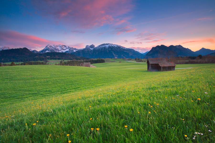 Frühling