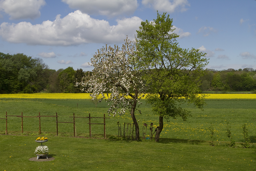 Frühling