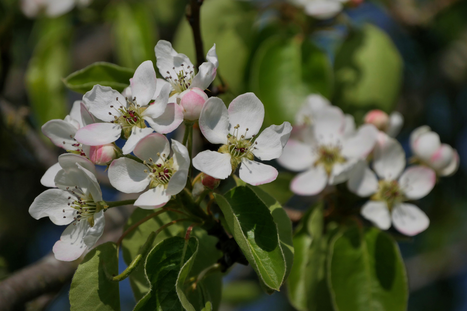 Frühling