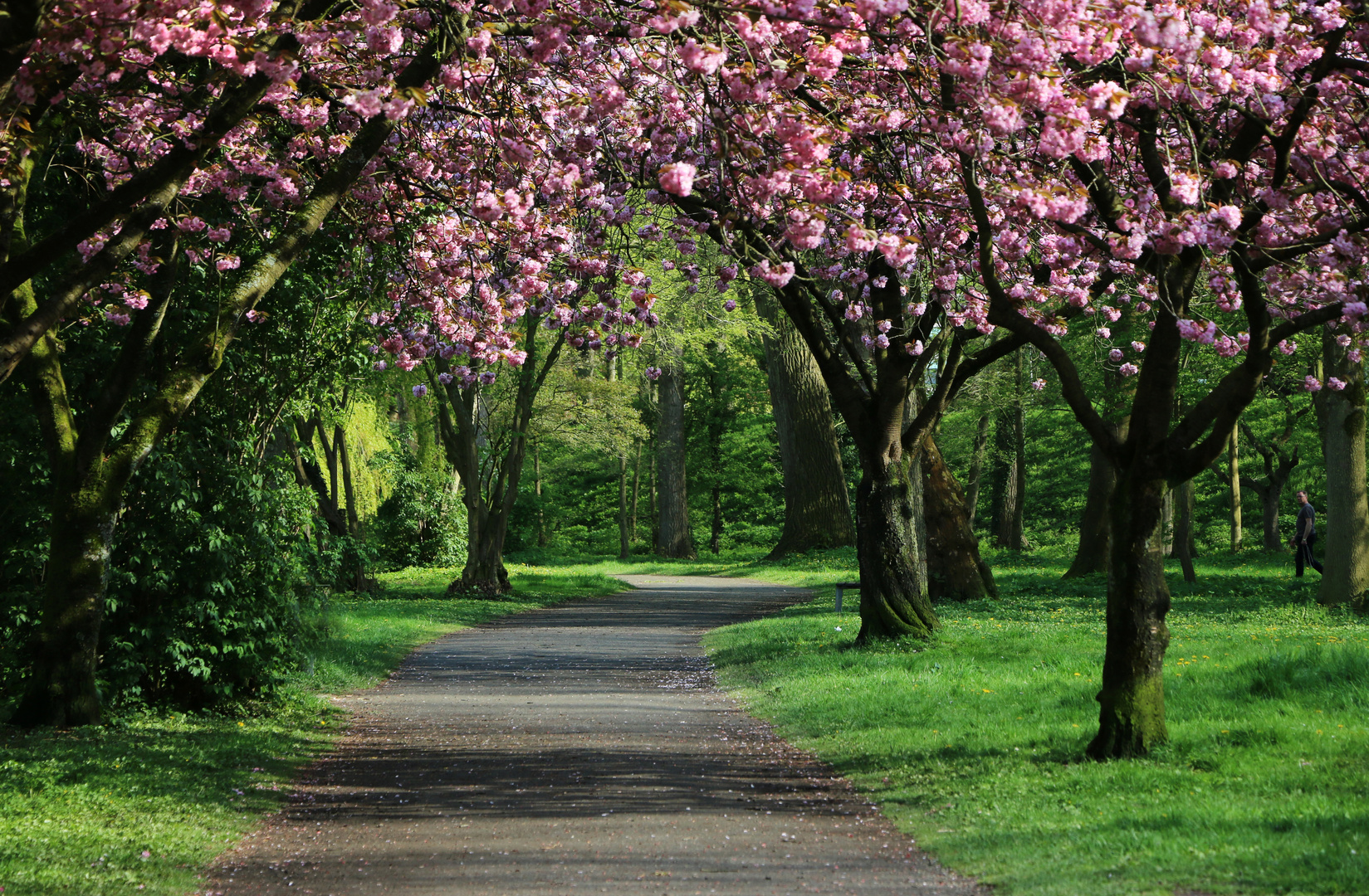 Frühling