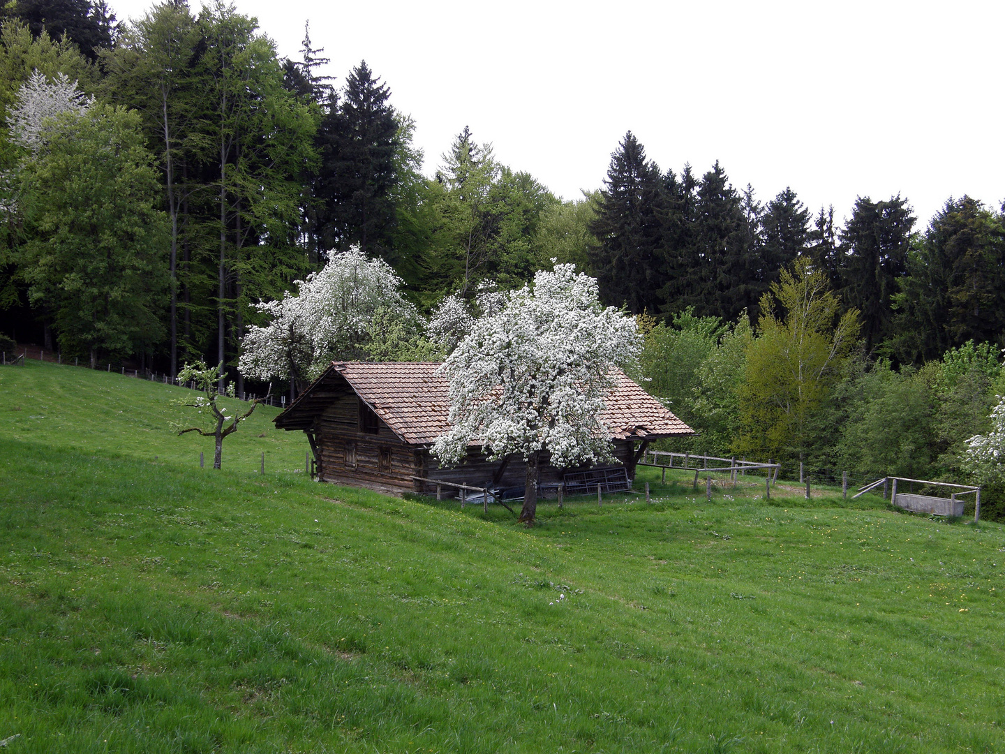 Frühling.....