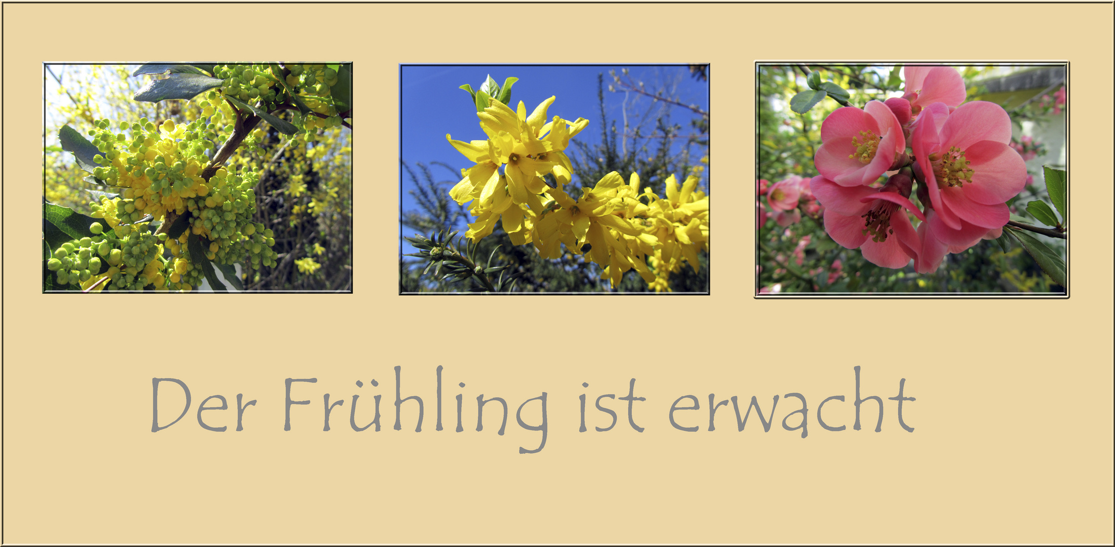 .......Frühling .......