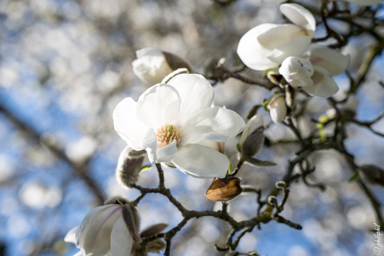 Frühling