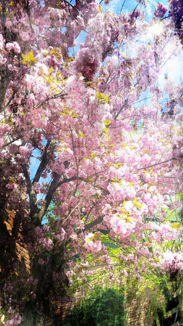 Frühling!