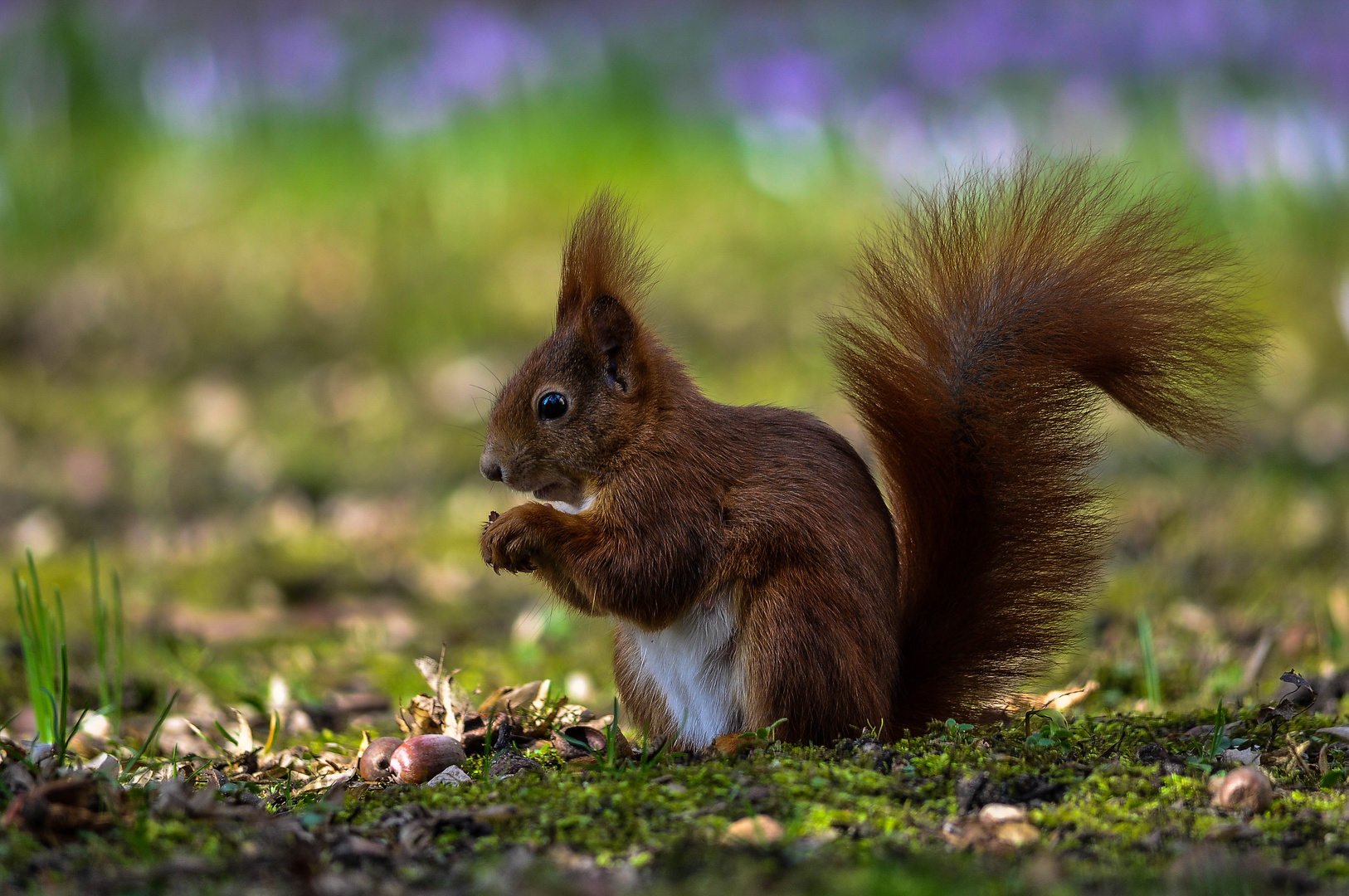 Frühling