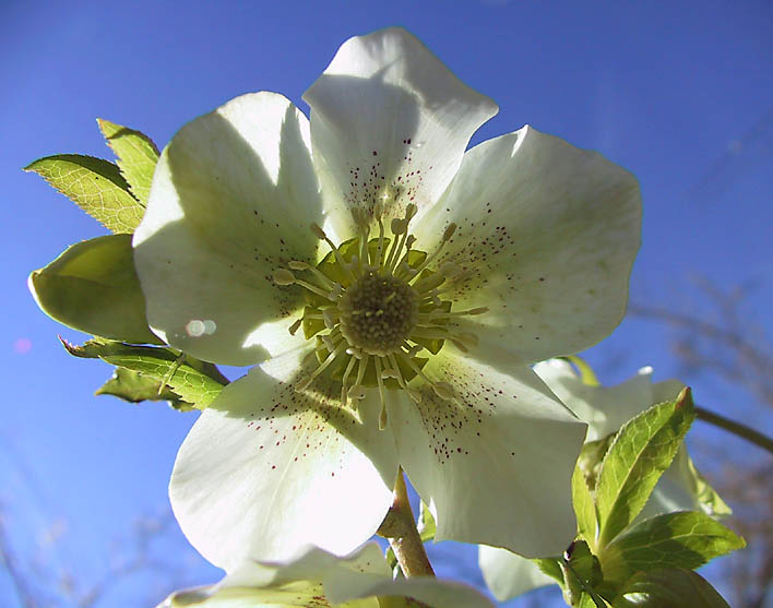 Frühling