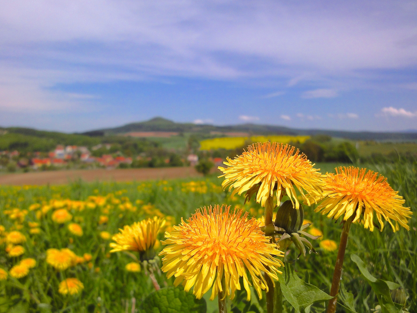 Frühling