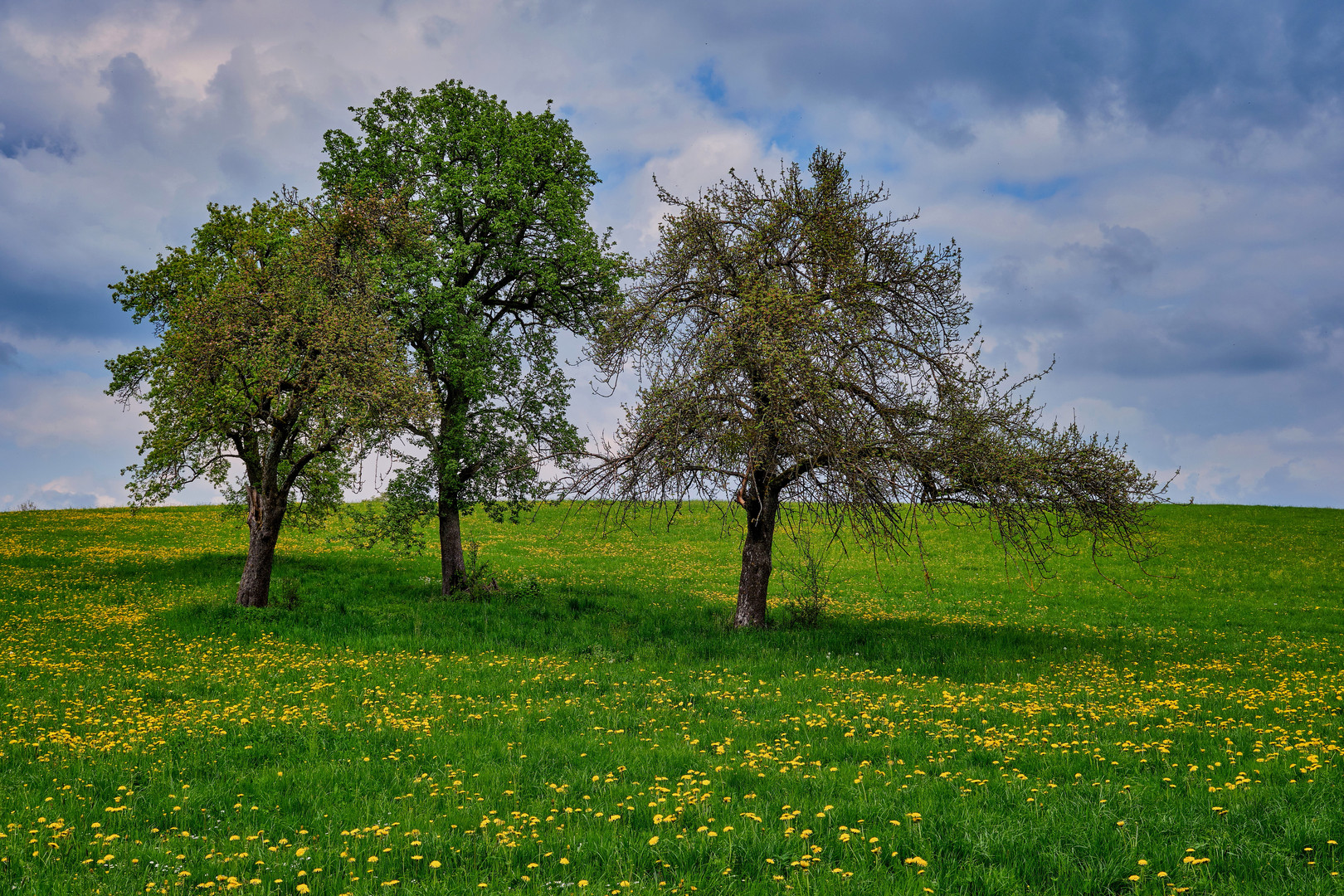 Frühling