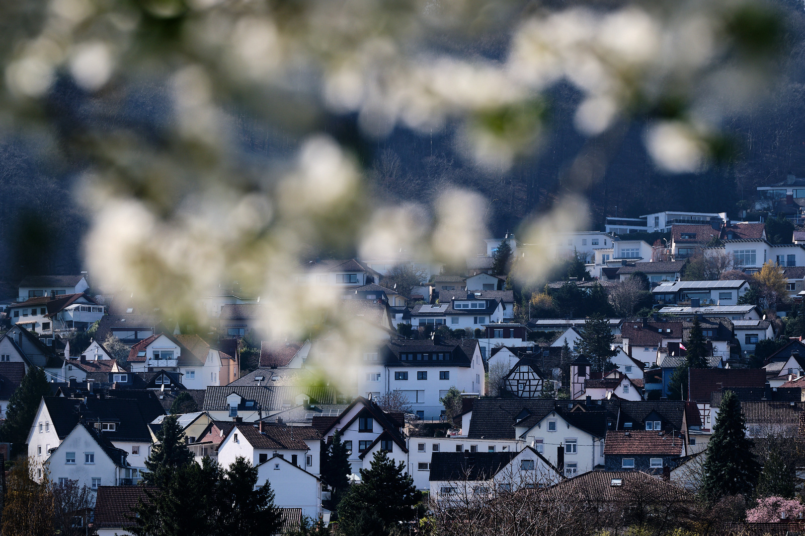 Frühling...